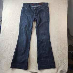 Express Dark Blue Flare Jeans